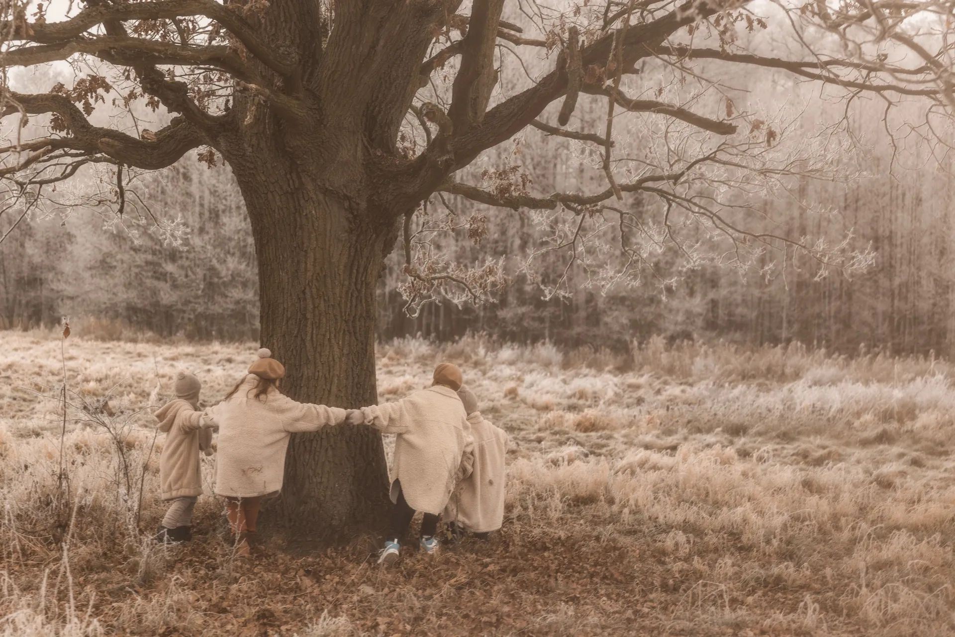 Okładka bloga, na którym dzieci trzymają się za ręce wokół starego drzewa - zdjęcie w stylu filmowym