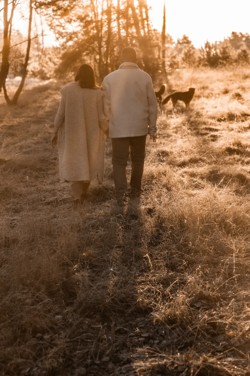 Para spaceruje po lesie w trakcie sesji ciążowej w plenerze. W tle wschód słońca i mglisty poranek.