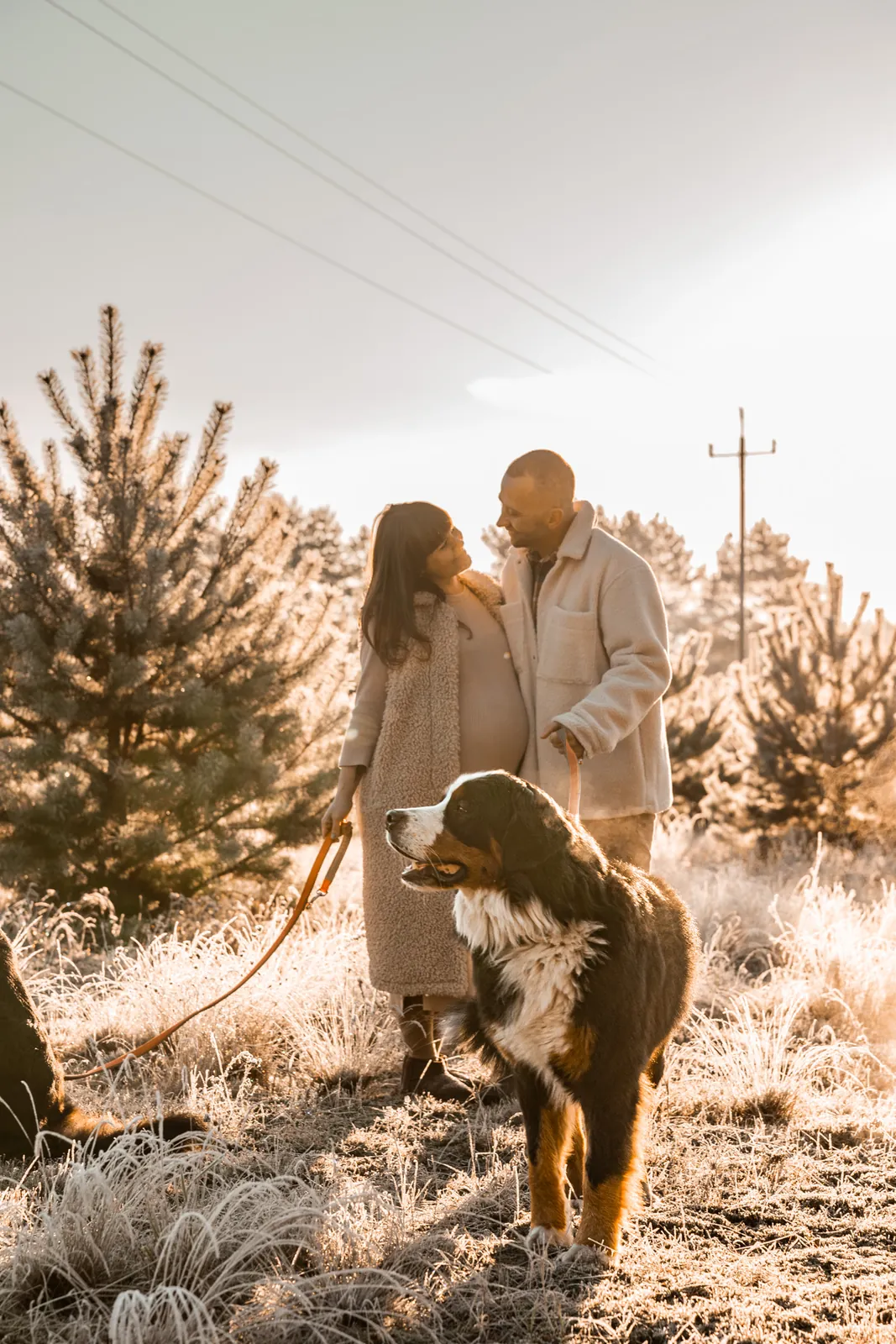 Przyszli rodzice spacerują po lesie uśmiechając się do siebie czule. Towarzyszą im dwa psy.