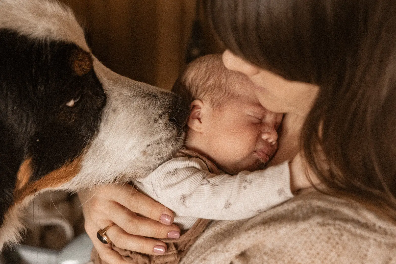 Mama przytula śpiącego noworodka. Towarzyszy im pies domowy dotykający delikatnie noskiem uszko malucha