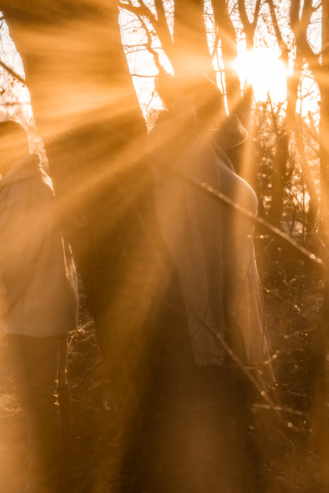 Przepalone zdjęcie artystyczne przyszłych rodziców wśród drzew i jesiennego wschodu słońca