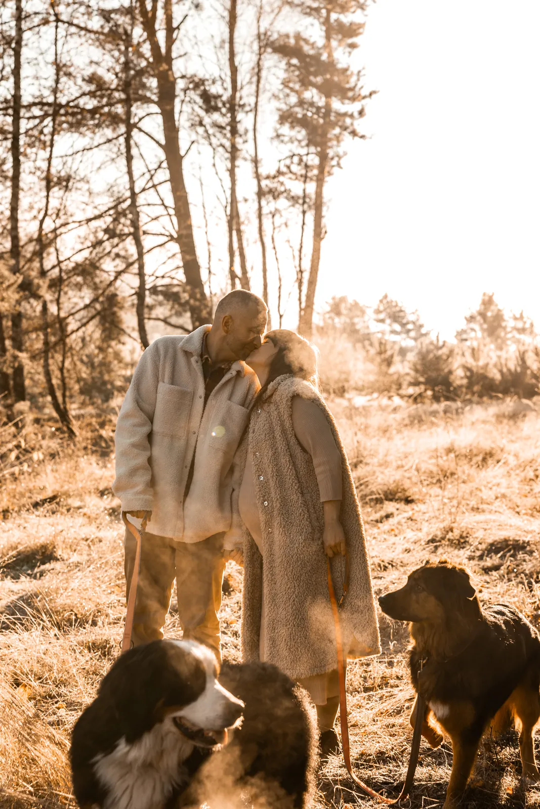 Para zakochanych w trakcie pocałunku podczas sesji ciążowej w lesie w towarzystwie dwóch psów