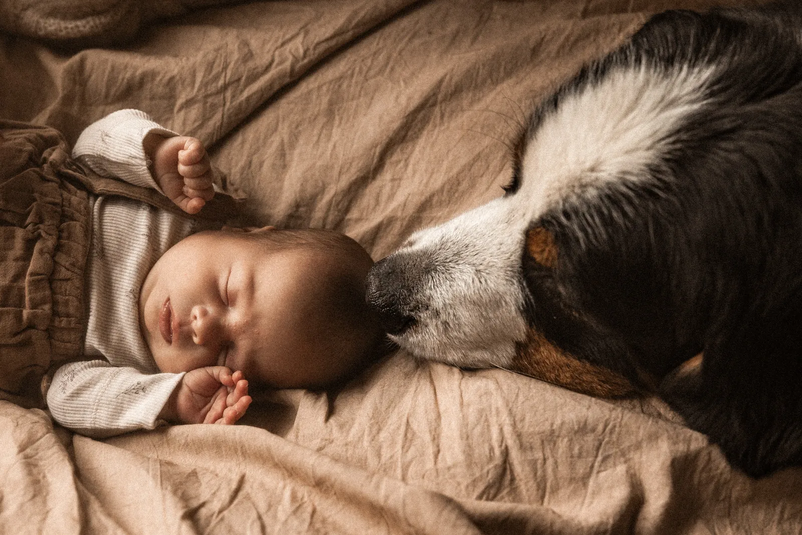 Naturalne zdjęcie śpiącego noworodka, którego noskiem dotyka pies podczas sesji noworodkowej w domu