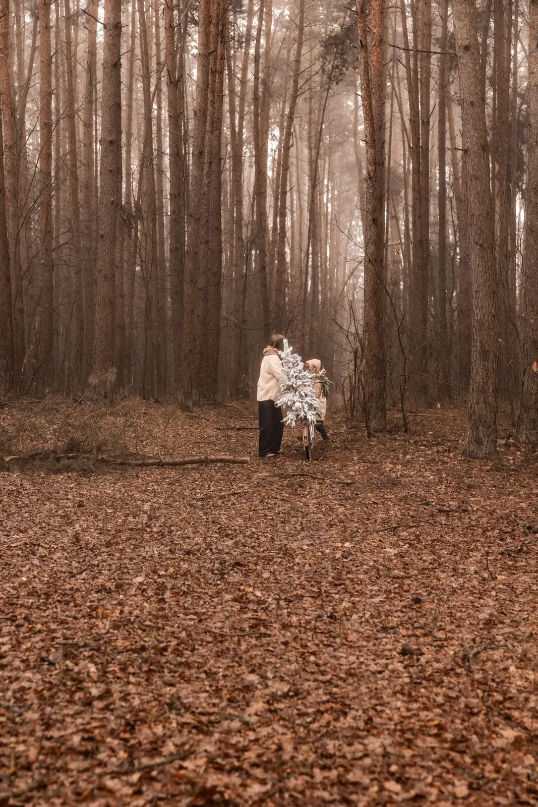 Minimalistyczna fotografia mamy z dzieckiem w lesie podczas świątecznej sesji zdjęciowej we mgle
