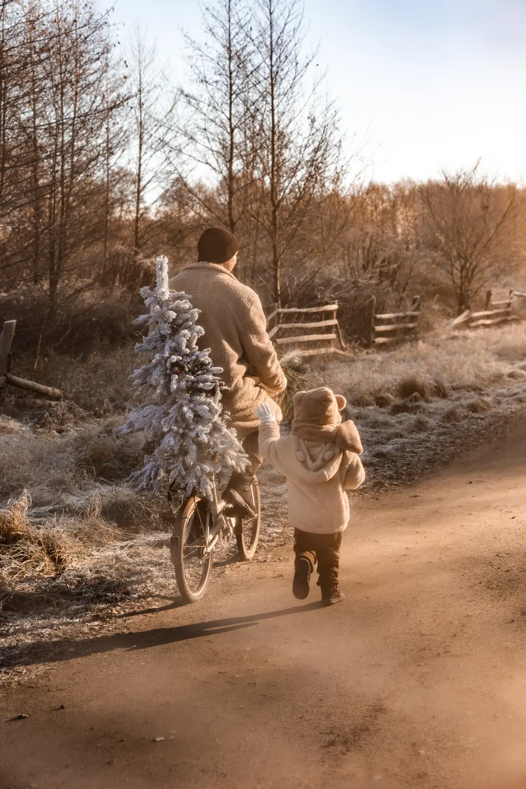 Tata z dzieckiem na rowerze przewożą choinkę na bagażniku. W tle las i łąka w zimowej scenerii.