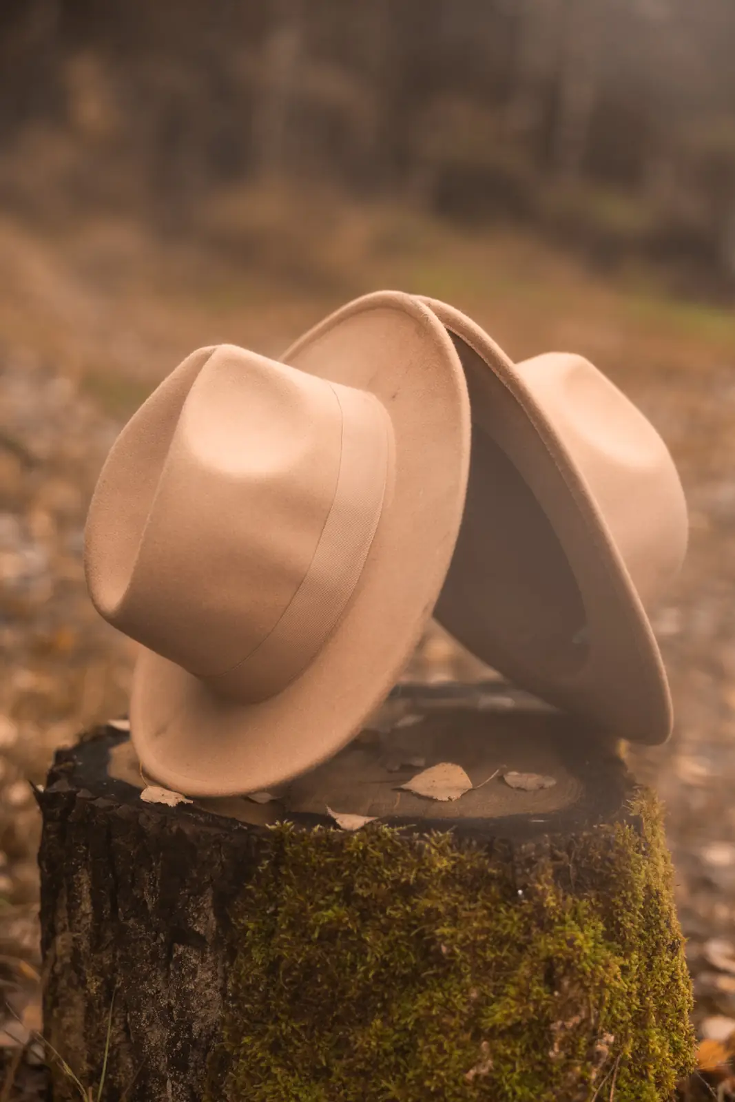 Dwa kapelusze stykające się rantem wyeksponowane na pniu jako rekwizyt na potrzeby plenerowej sesji zdjęciowej